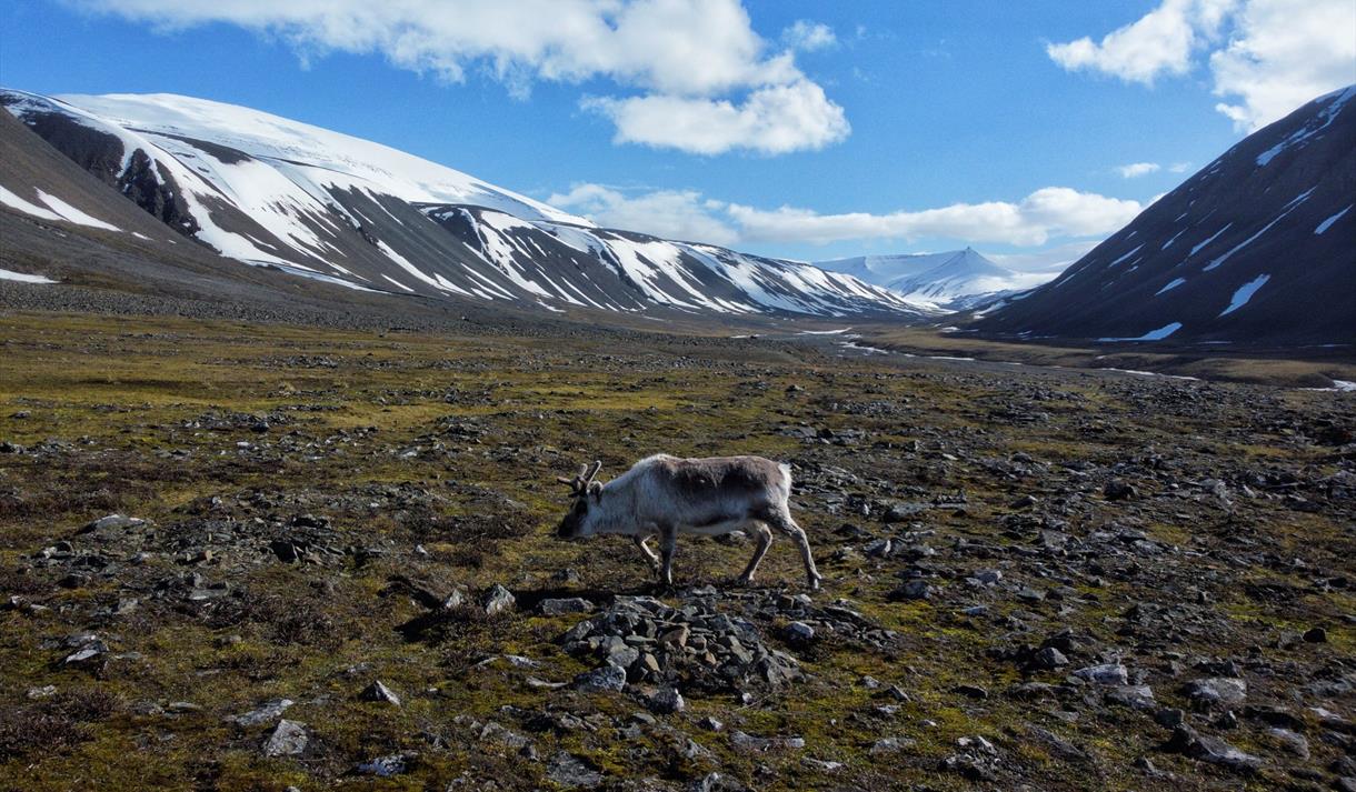 © Visit Svalbard