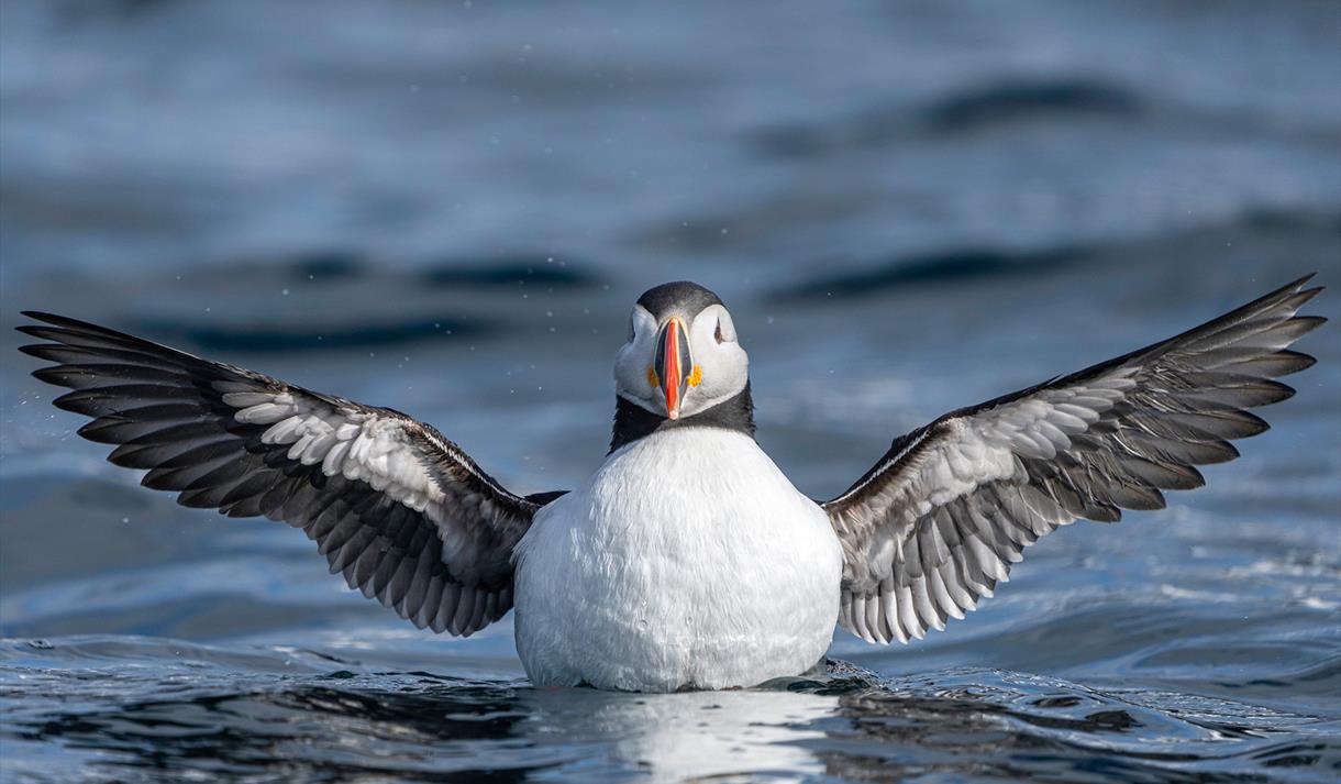 © Visit Svalbard