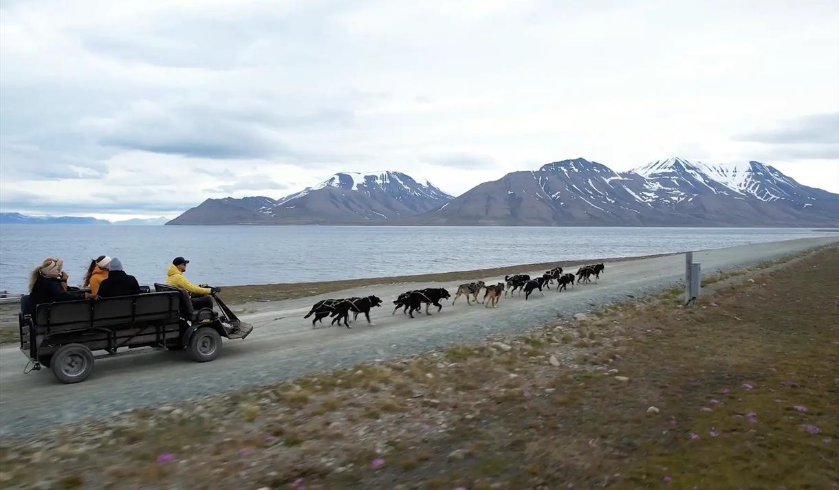 © Visit Svalbard