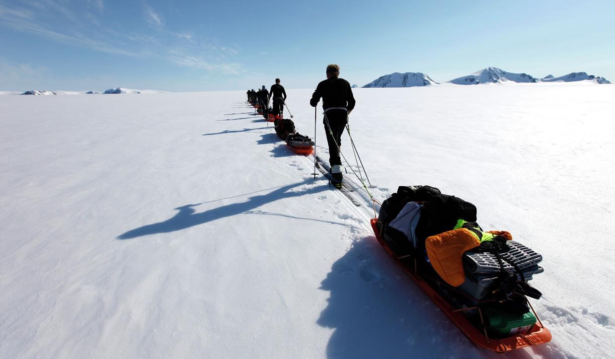 A tour group pulling sleds while skiing in a row