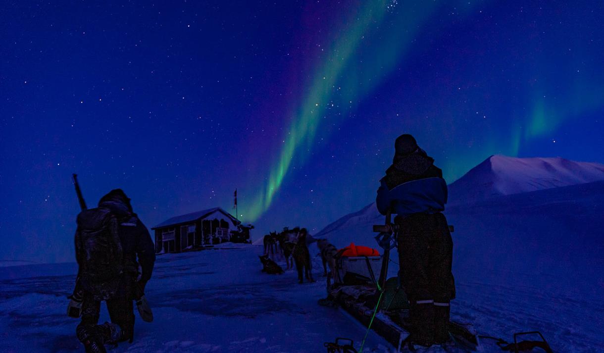 Sled team in the polar night