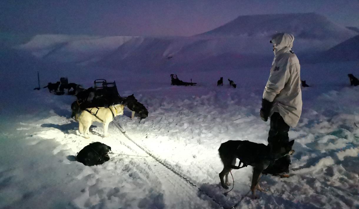 © Visit Svalbard
