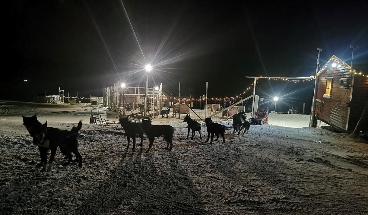 © Visit Svalbard