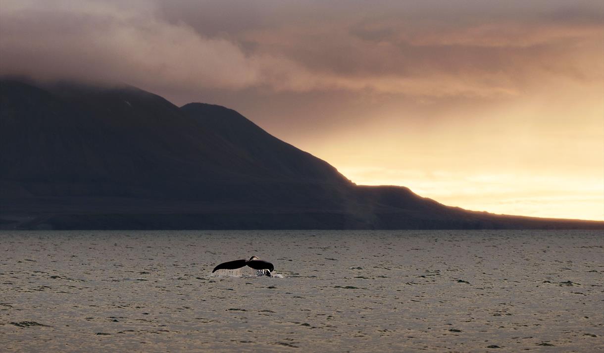 © Visit Svalbard