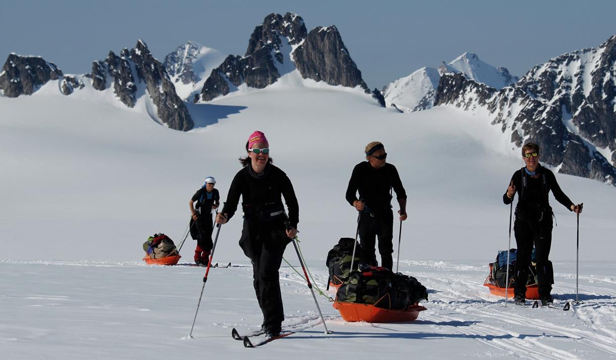 A tour group pulling sleds while skiing
