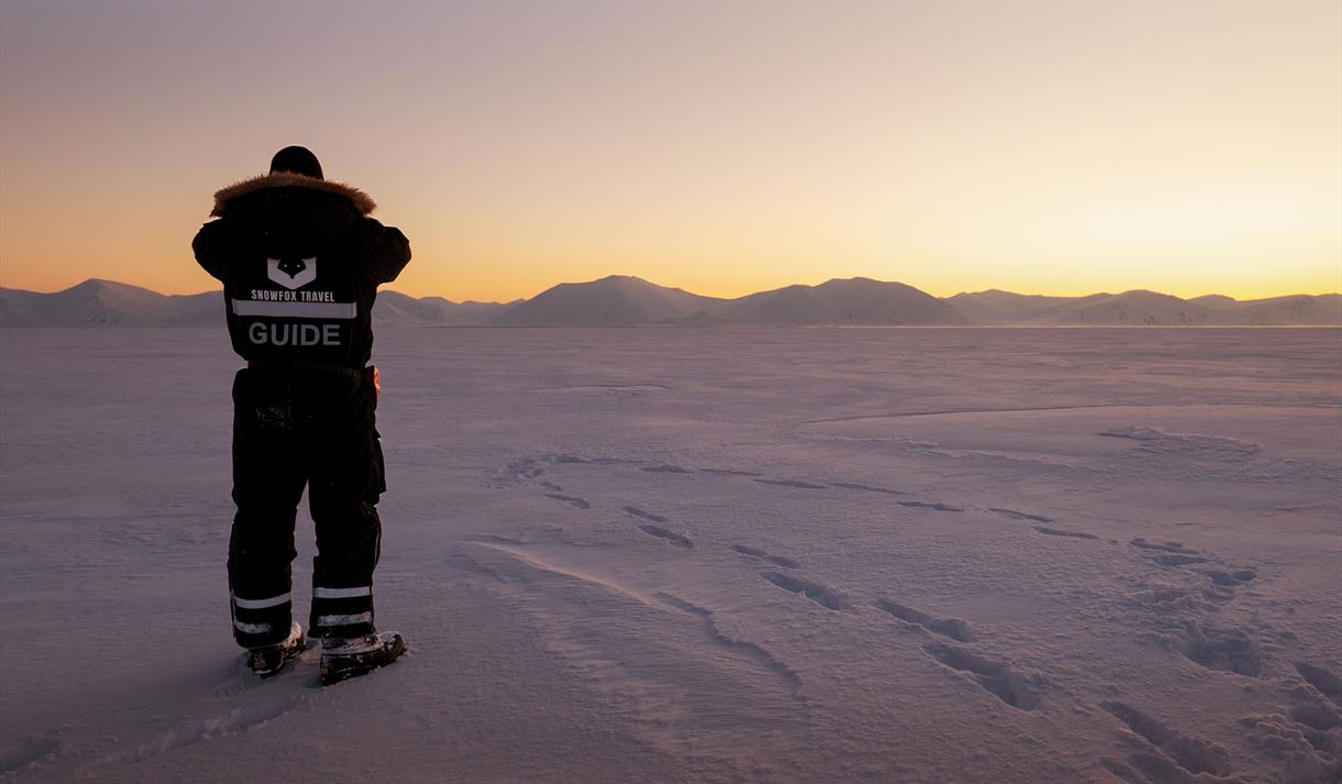 En guide fra Snowfox Travel står på snødekket vidde og ser utover landskapet i solnedgangen.