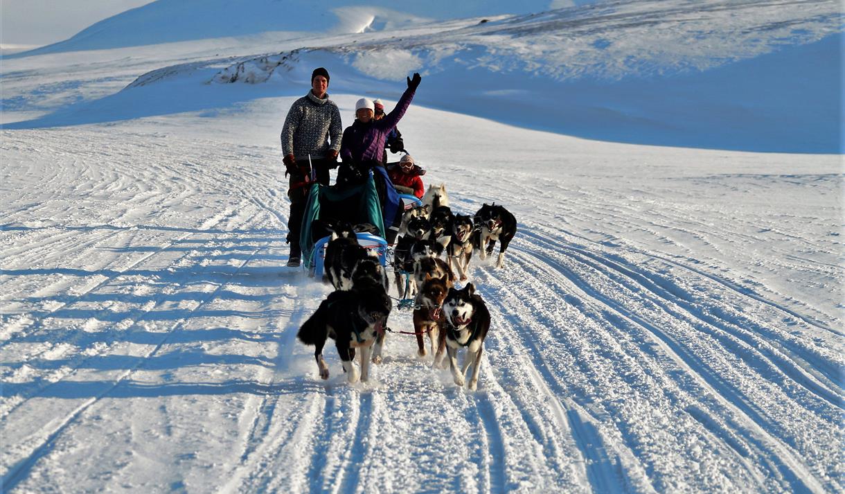 happy guests waving their hands during a dogsledding trip