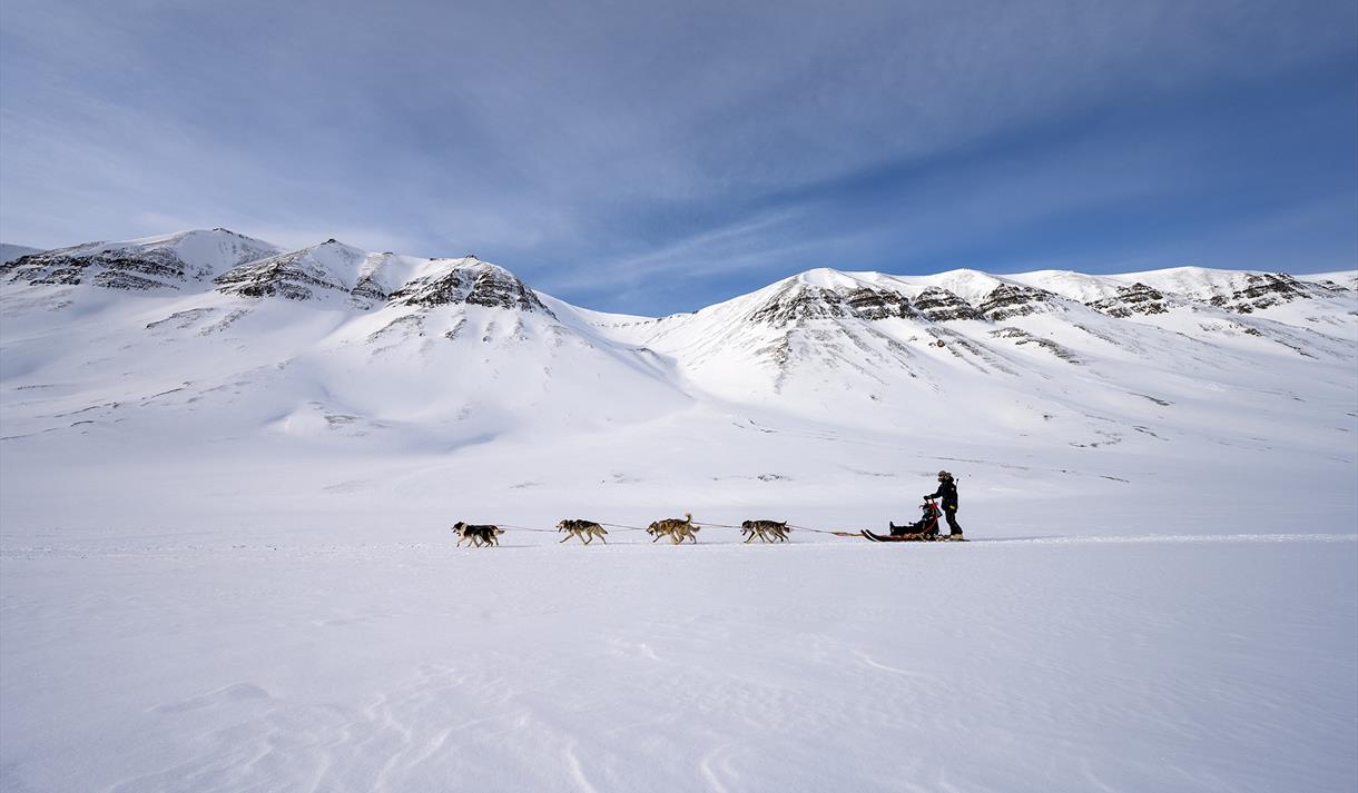 Trappers Trail - 5-day dog sledding expedition into the Arctic ...