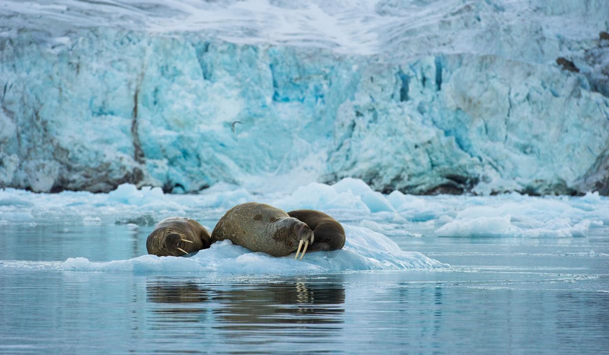 © Visit Svalbard