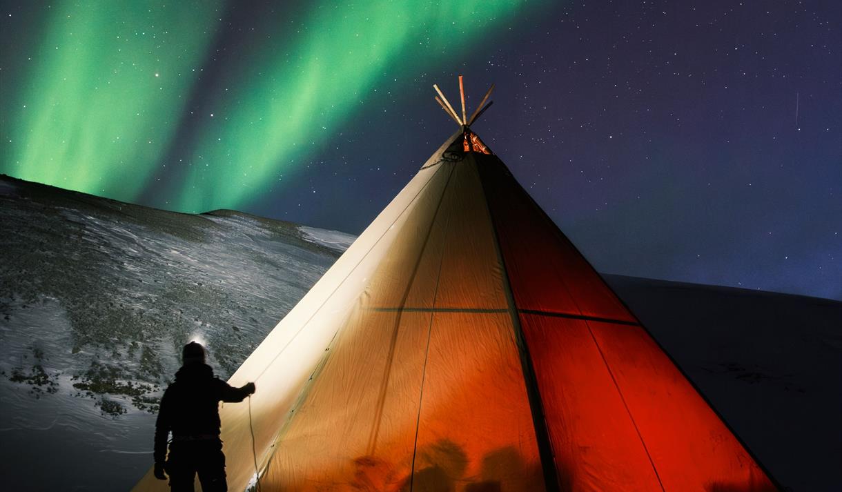 En opplyst lavvo. En person står med hodelykt utenfor. Grønt nordlys på himmelen.