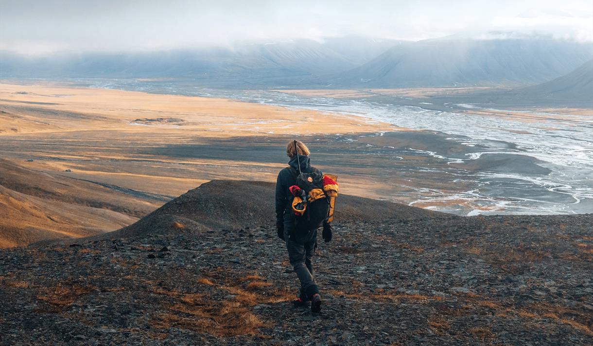 Person hiking in the mountains during the summer, facing a wide valley.