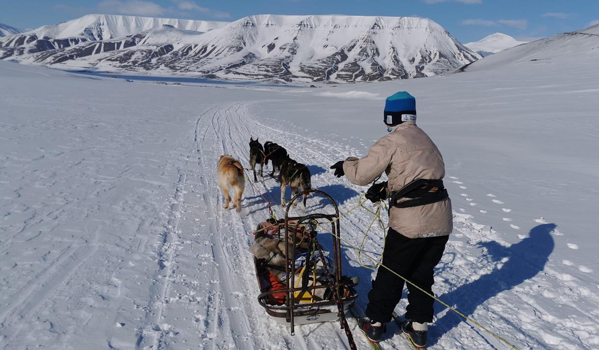 En person på ski ved siden av en liten hundeslede med tre hunder, som kjører nedover dalen. I bakgrunnen ligger det snødekte fjell, og en klar himmel.