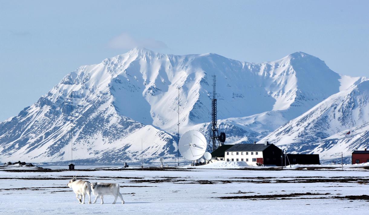 Isfjord Radio Adventure Hotel - Hotel in * Isfjord På svalbard, Spitsbergen - Visit Svalbard