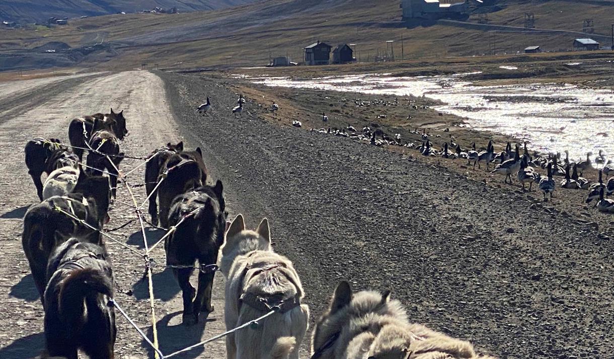 © Visit Svalbard