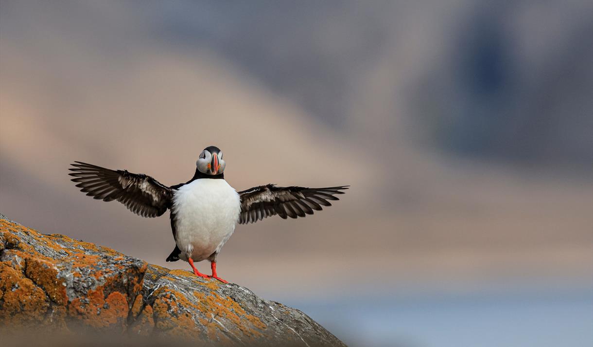 © Visit Svalbard