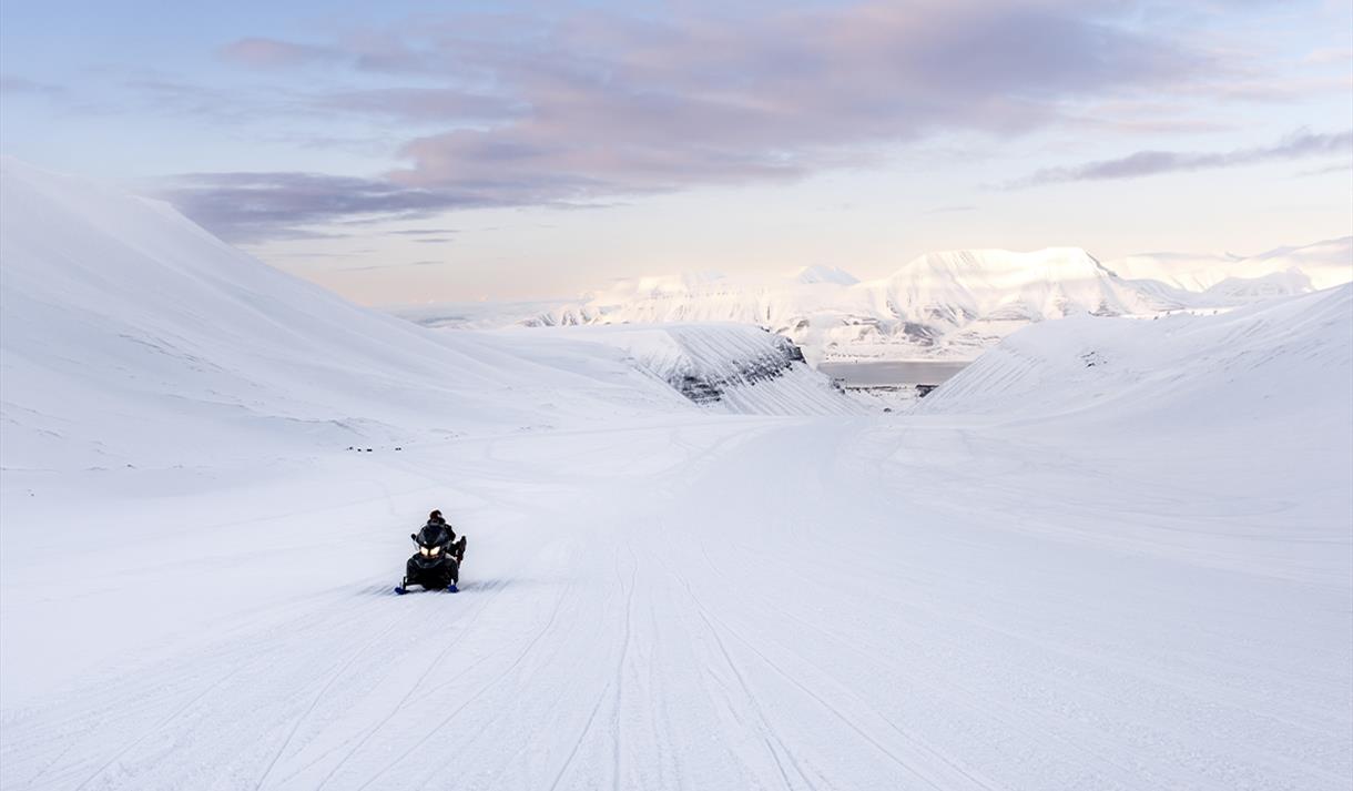 snowfox travel svalbard