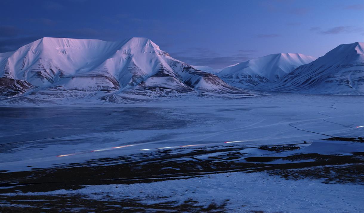 snowfox travel svalbard