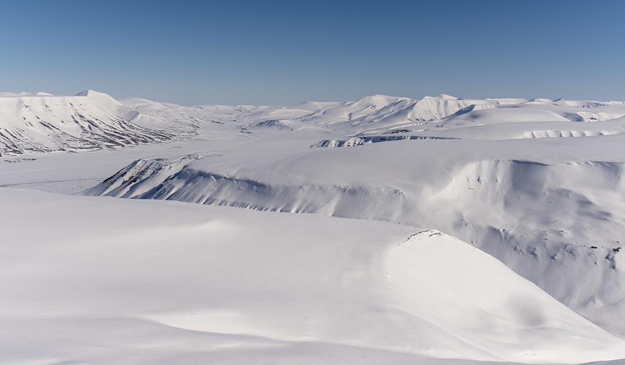 snowfox travel svalbard