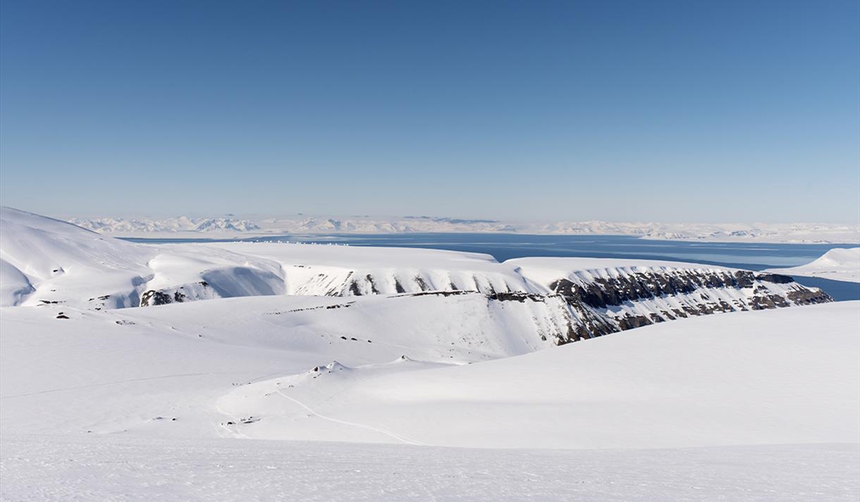 snowfox travel svalbard