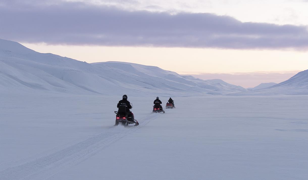 snowmobile safari to the wild fjords