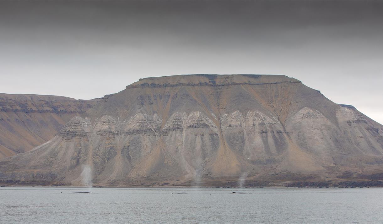 © Visit Svalbard