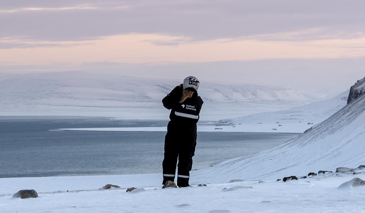 snowmobile safari to the wild fjords