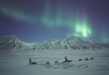 Maybe Aurora Borealis? Dog sledding- with overnight at dog yard - Svalbard Villmarkssenter