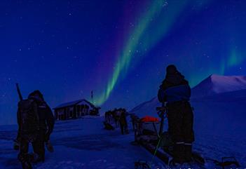 Sled team in the polar night