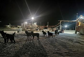 Dog Sledding in the Polar Night - Arctic Husky Travellers