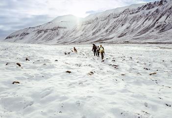 Tre personer og en hund på fottur gjennom et snødekt og lyst landskap med fjell i bakgrunnen