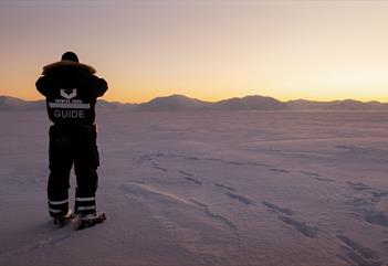 En guide fra Snowfox Travel står på snødekket vidde og ser utover landskapet i solnedgangen.