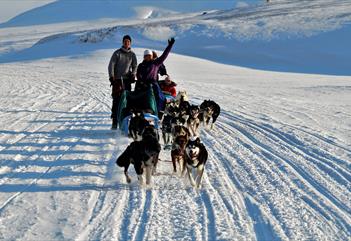 happy guests waving their hands during a dogsledding trip