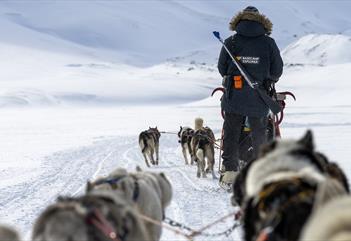 En guide sett bakfra med våpen på ryggen som kjører et hundespann.