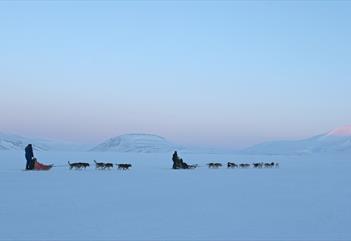 Sled teams out on a tour