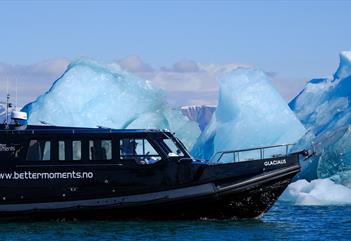 A boat sailing along a line of icebergs in a fjord