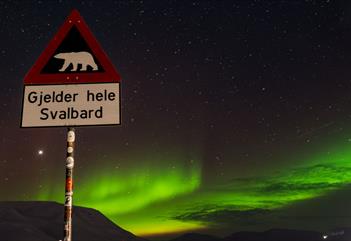 Northern lights wilderness hunt - small groups - Snowfox Travel
