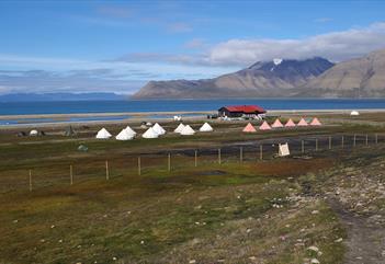 A camping site with tents and a building surrounded by fences