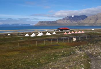 A camping site with tents and a building surrounded by fences