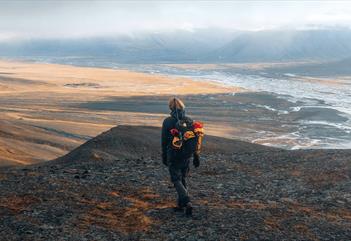 Person hiking in the mountains during the summer, facing a wide valley.