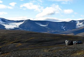 Nordenskiöld Land – eventyr i villmark: 4 dagers fottur med overnatting i telt - Svalbard Wildlife Expeditions