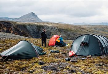 Prins Karls summer expedition 9 days: Hike on the west coast of Spitsbergen - Svalbard Wildlife Expeditions