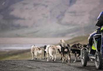 Sleddogteam pulling a cart on wheels