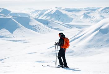 Arktisk Kombo: Topptur med Snøscooter - Svalbard Wildlife Expeditions