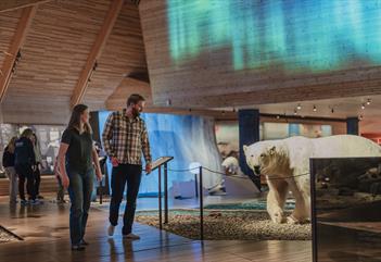 Svalbard Museum