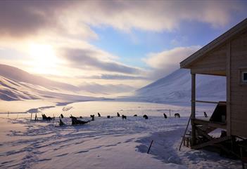 Wilderness cabin, sleddogs and parked sledges in a snowcovered landscape on a sunny springday