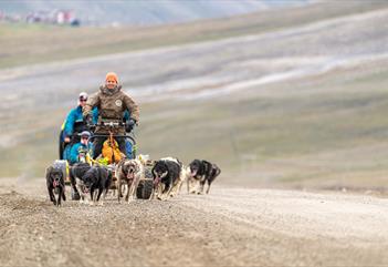 Dog sledding with a wagon