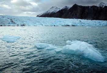 Isbreer og dyreliv med lukket RIB-båt – Snowfox Travel