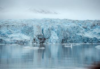 The edge of a glacies with ice flakes floating in the fjord.