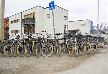 Rental bikes on a bike rack