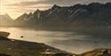 A boat floating in a calm fjord with a mountainous landscape in the background